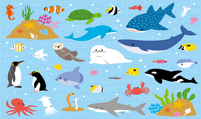 雑学クイズ 海の生き物 子ども向けの簡単で面白い三択問題 ひらめきと遊びの時間